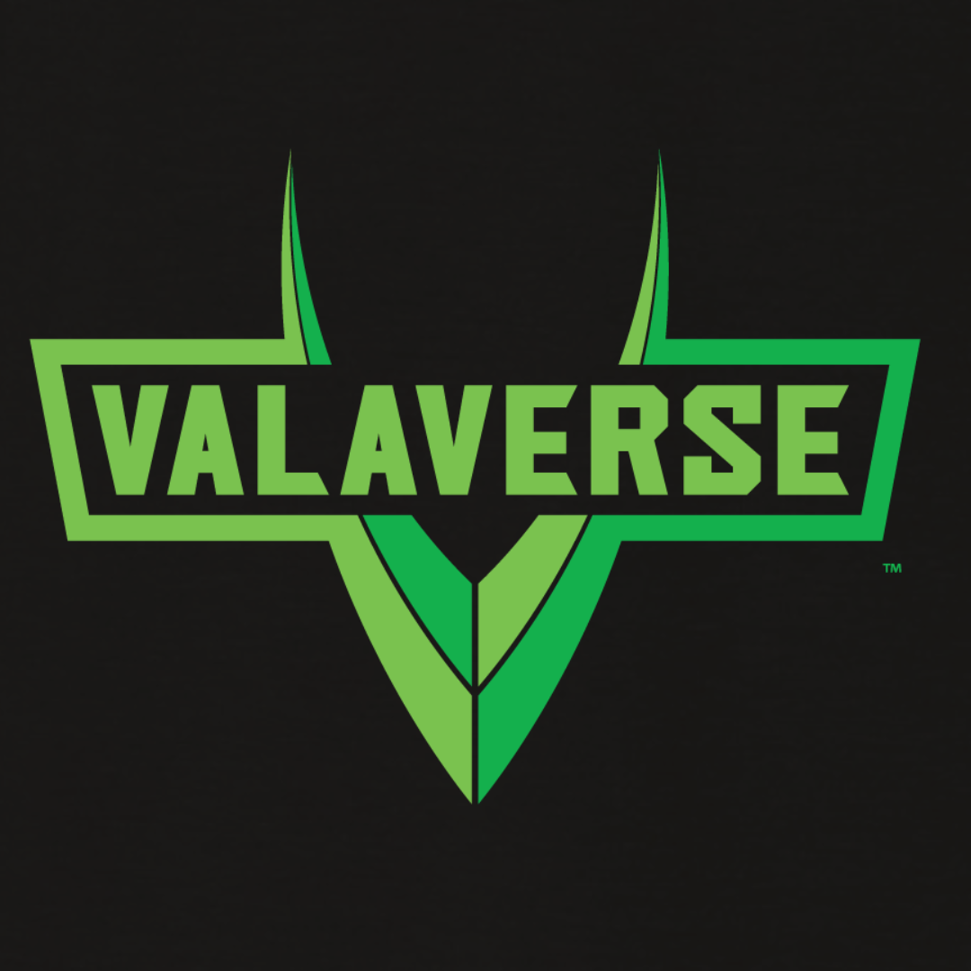Valaverse Unisex Tee