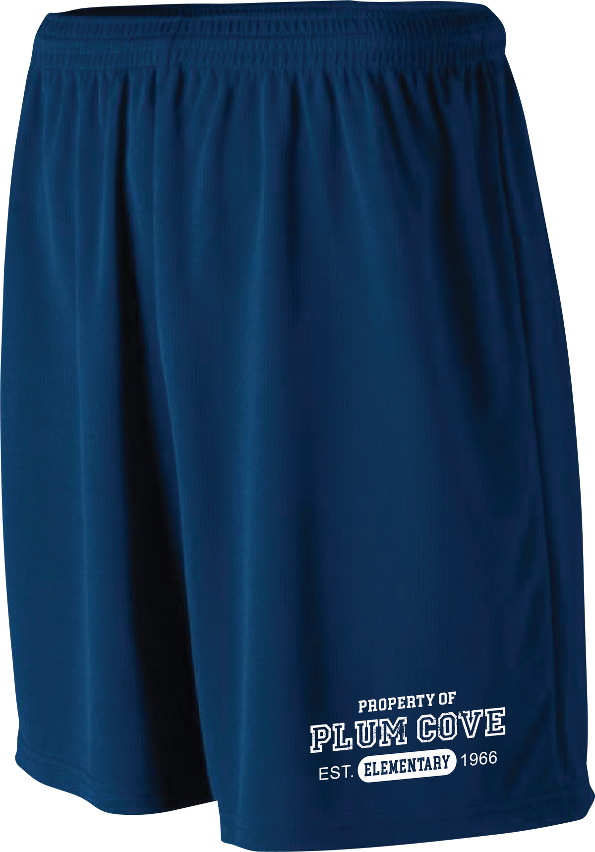 Plum Cove Property Of Augusta Wicking Mesh Athletic Shorts — Youth — Property of Plum Cove design